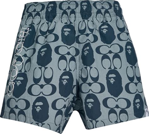 Experience the magic of summer with our coach swim shorts